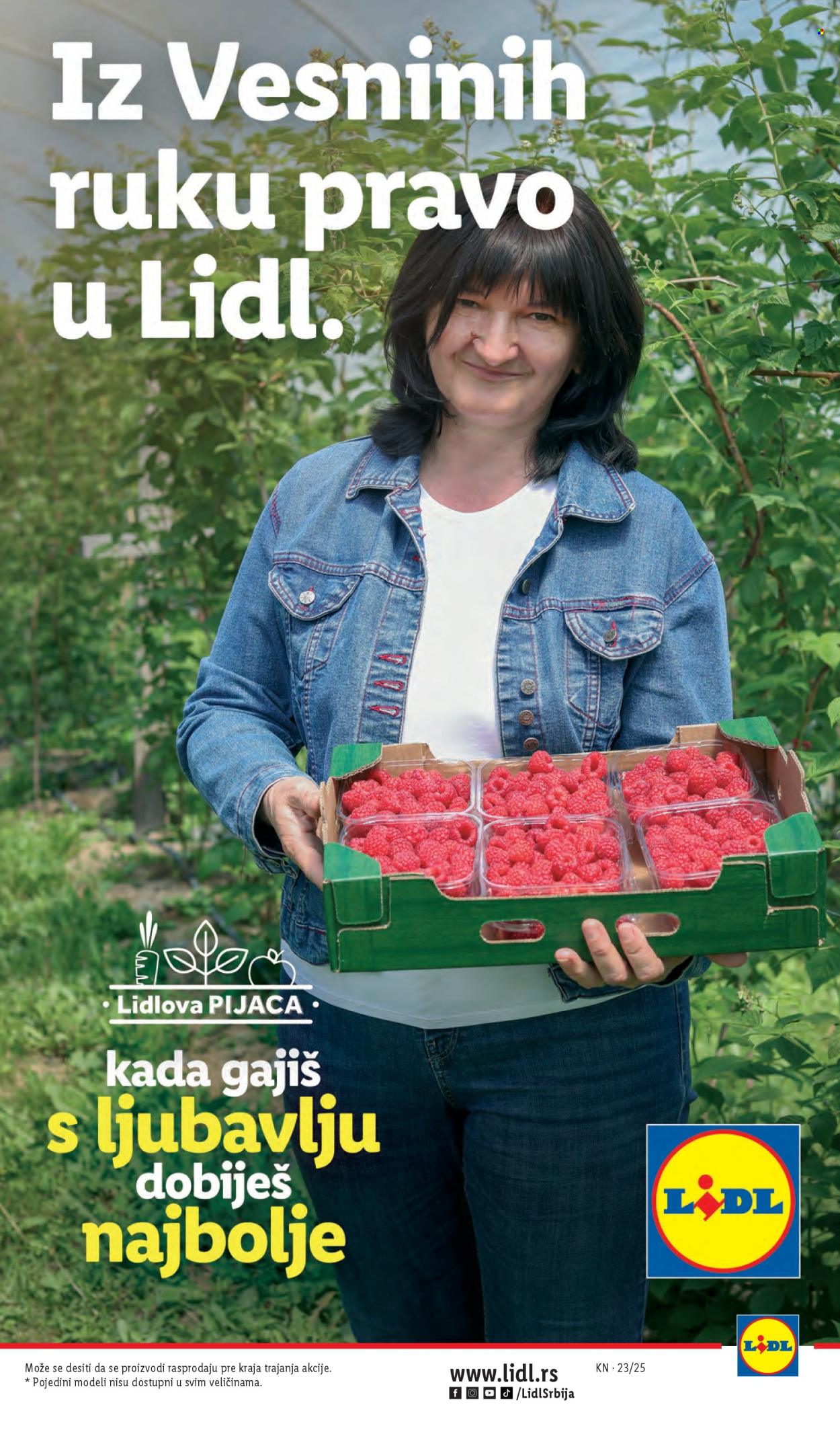 Lidl katalog - 05.06.2025 - 11.06.2025. Stranica 13