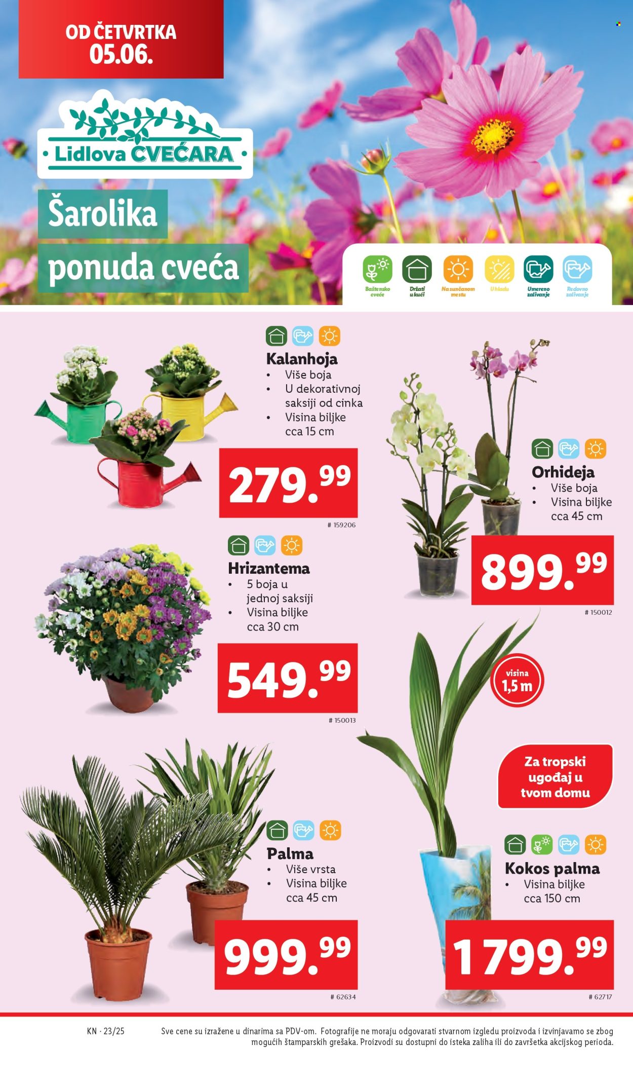Lidl katalog - 05.06.2025 - 11.06.2025. Stranica 46