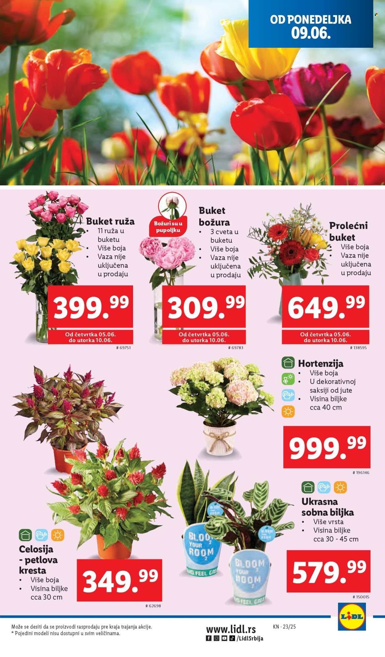 Lidl katalog - 05.06.2025 - 11.06.2025. Stranica 47