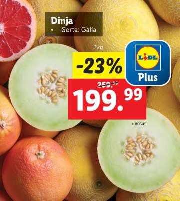 Dinja