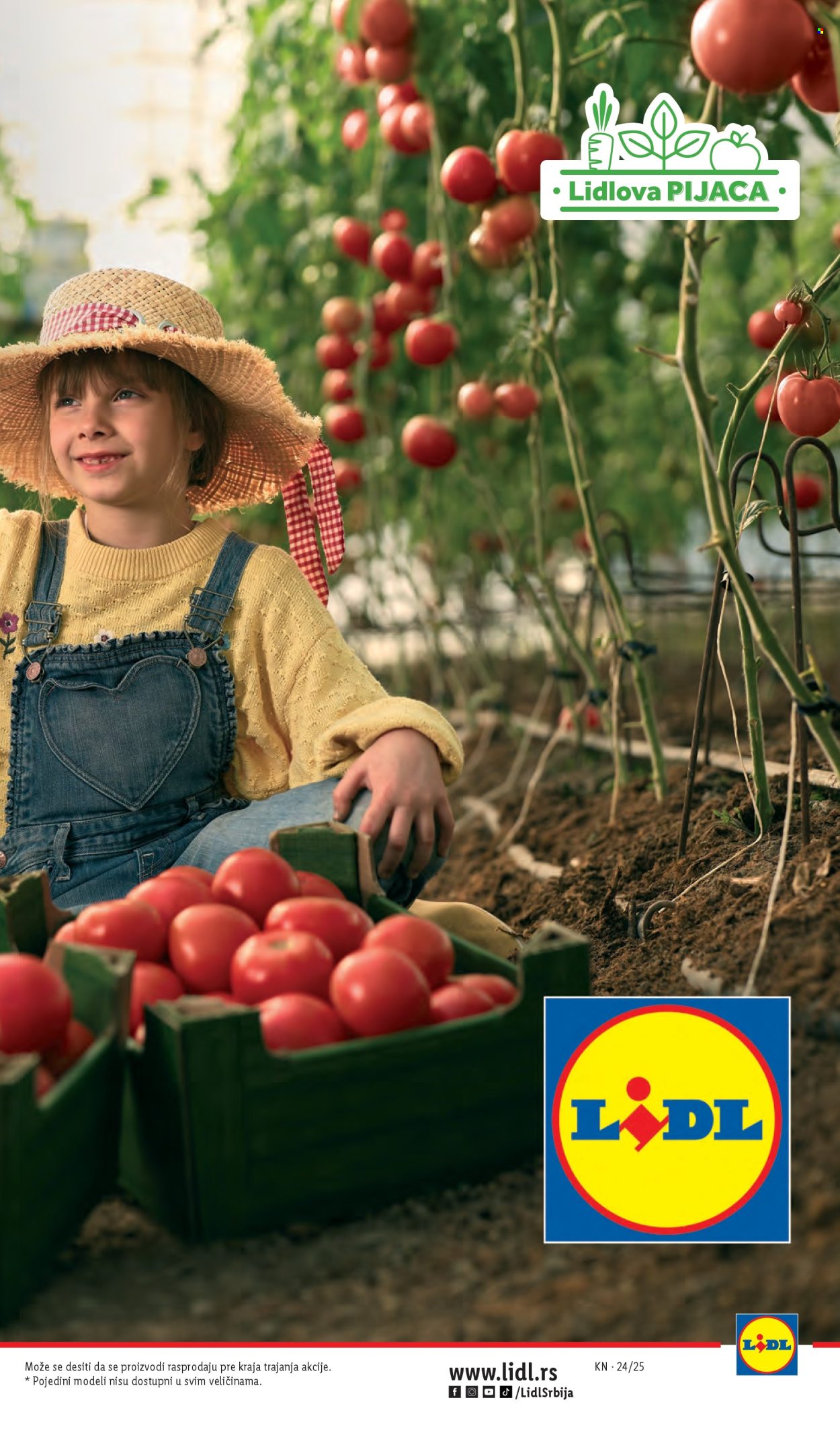 Lidl katalog - 12.06.2025 - 18.06.2025. Stranica 15