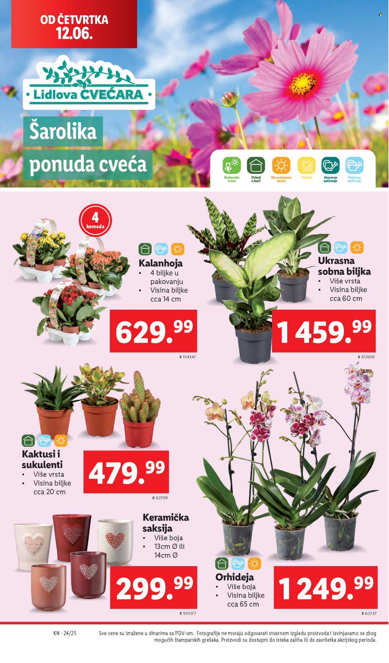 Lidl katalog - 12.06.2025 - 18.06.2025. Stranica 50