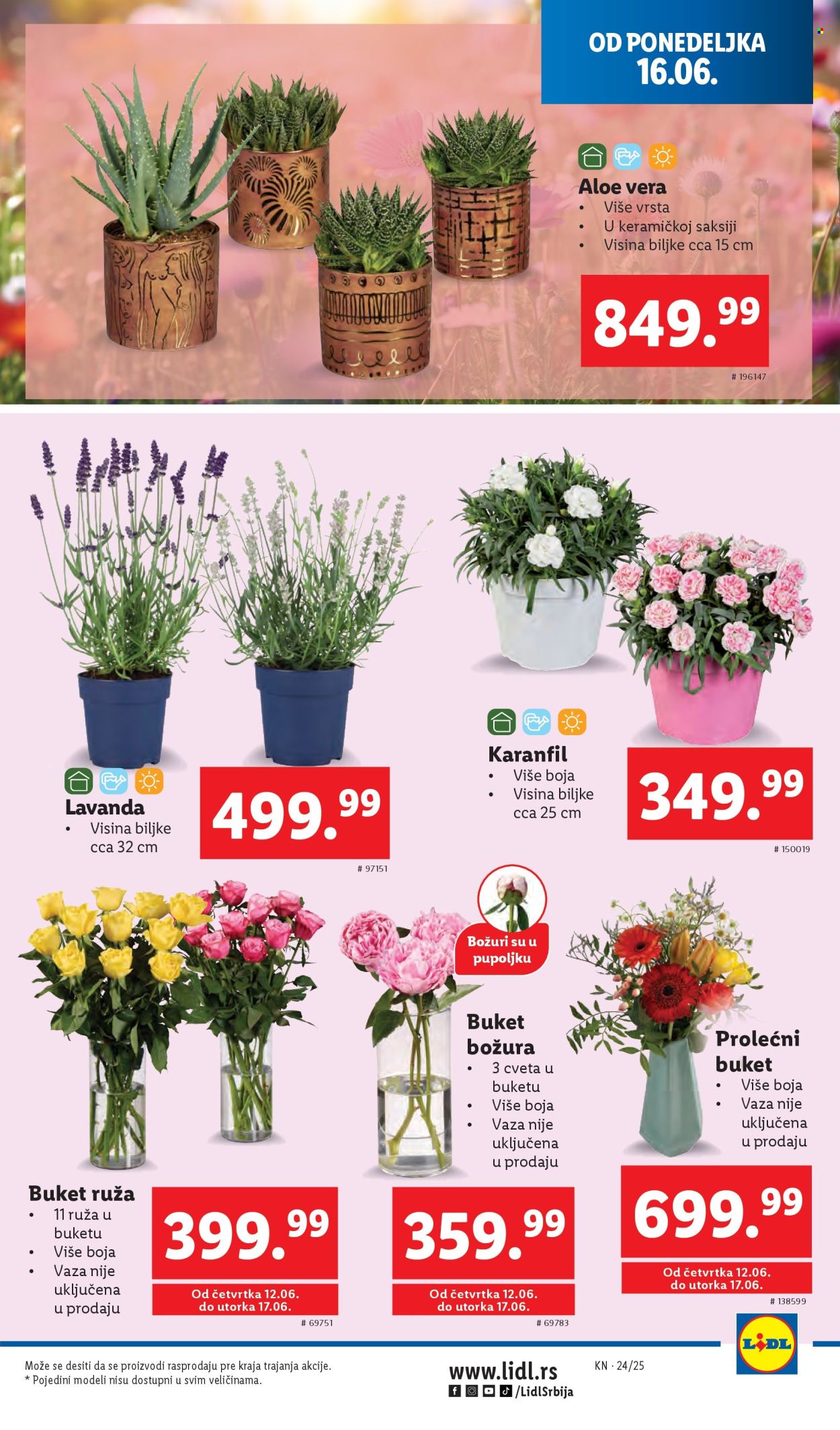 Lidl katalog - 12.06.2025 - 18.06.2025. Stranica 51