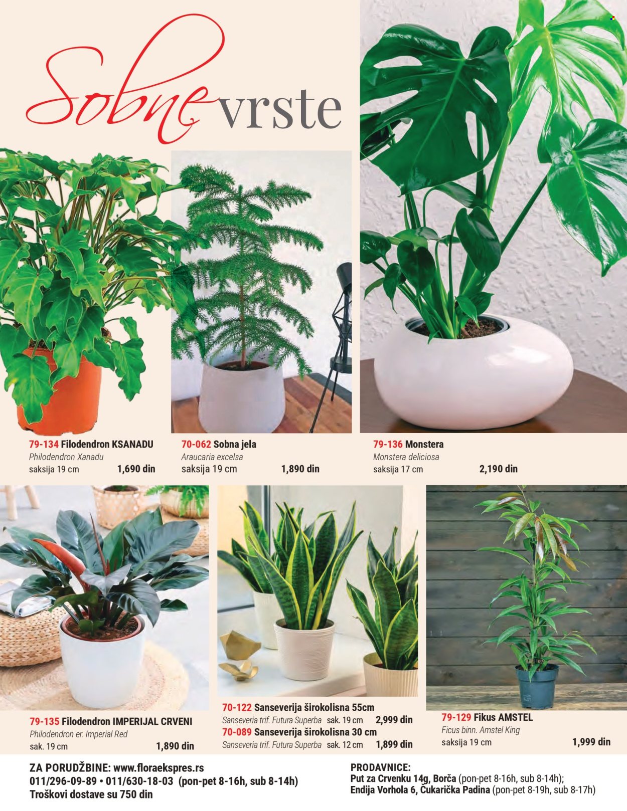 Flora Ekspres katalog. Stranica 4