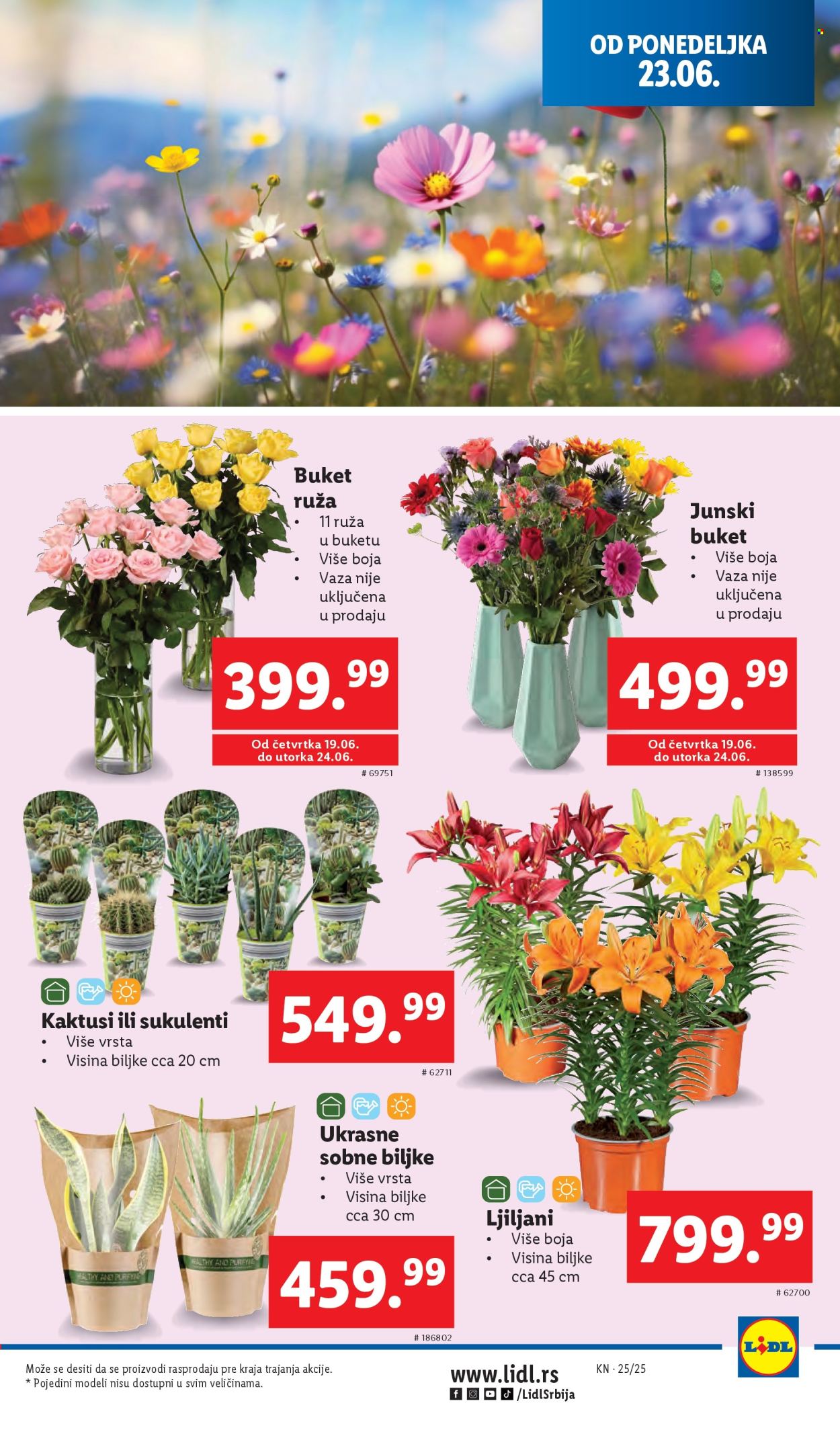 Lidl katalog - 19.06.2025 - 25.06.2025. Stranica 45