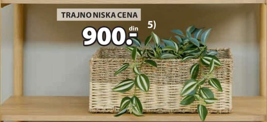 Dekorativna korpa sa biljkom