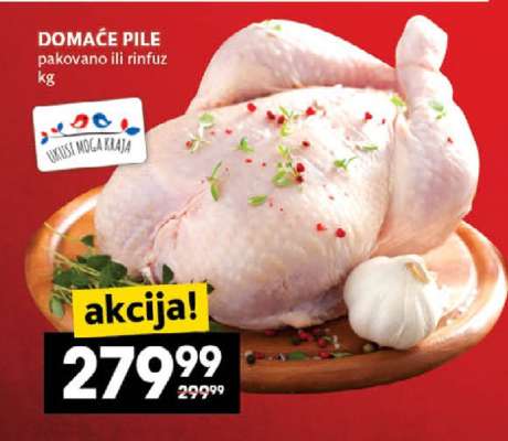 Domaće pile