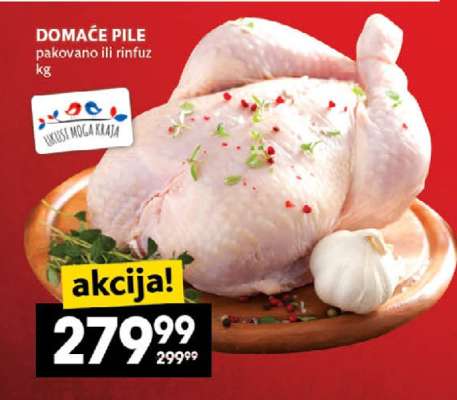 Domaće pile