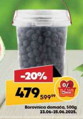 Borovnica domaća 500g
