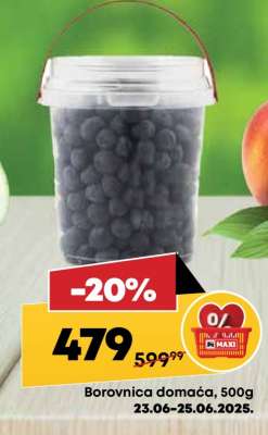 Borovnica domaća 500g