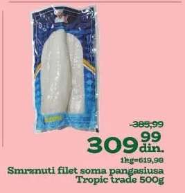 Smrznuti filet soma pangasiusa