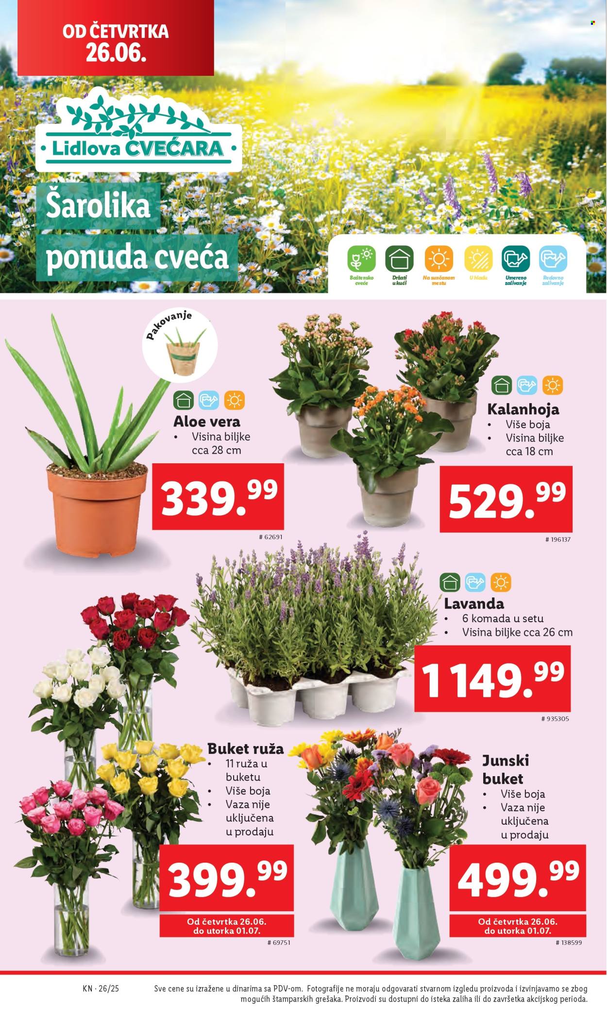 Lidl katalog - 26.06.2025 - 02.07.2025. Stranica 46