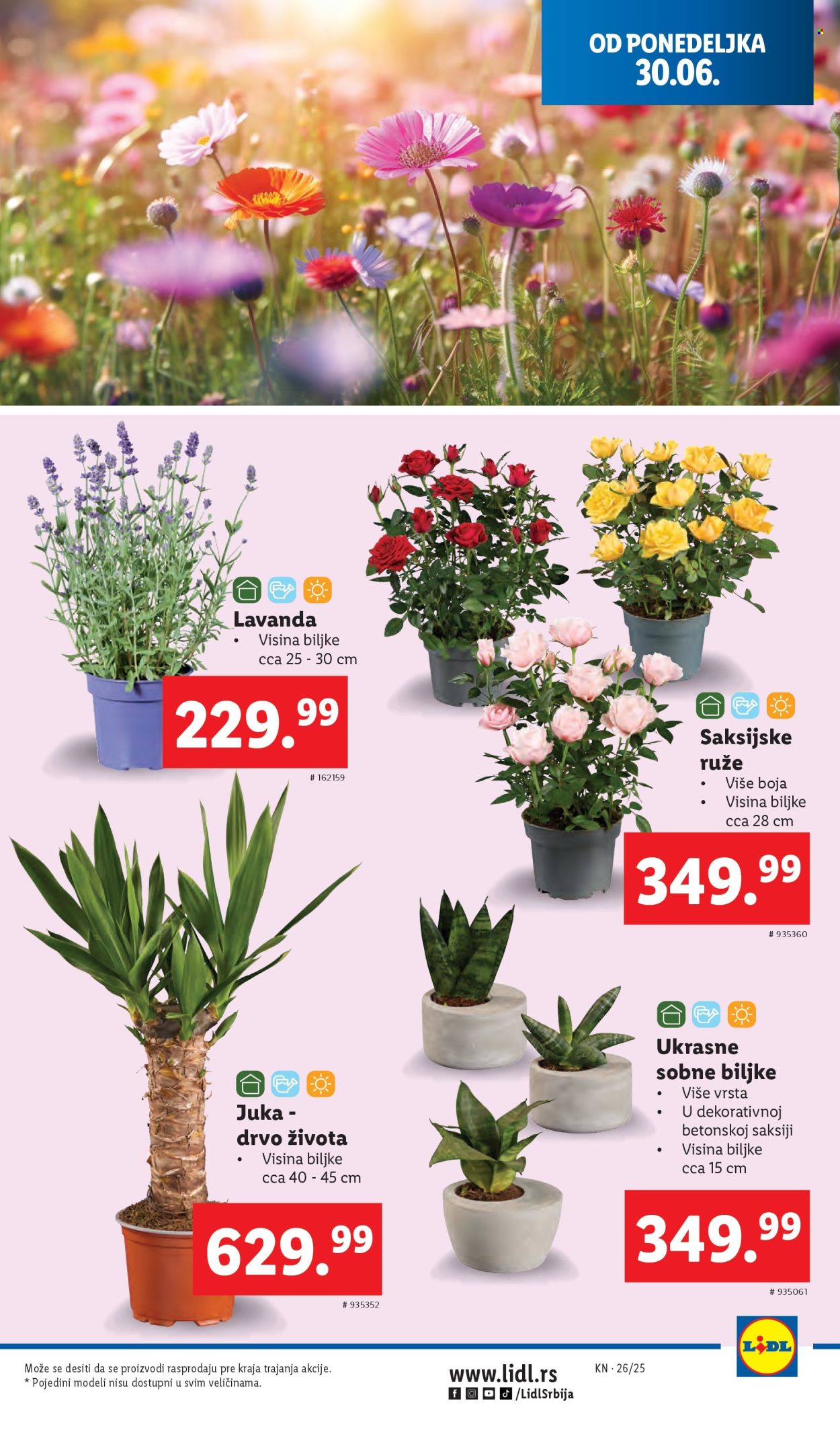 Lidl katalog - 26.06.2025 - 02.07.2025. Stranica 47
