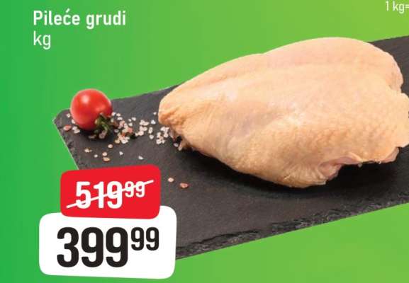 PILEĆE GRUDI