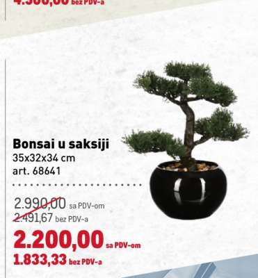 Bonsai u saksiji