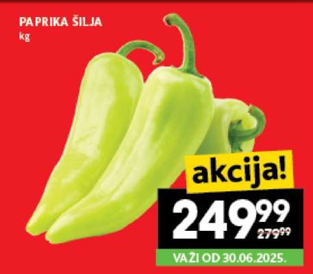 PAPRIKA ŠILJA