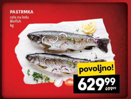 Pastrmka