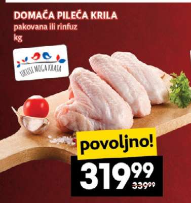 DOMAĆA PILEĆA KRILA