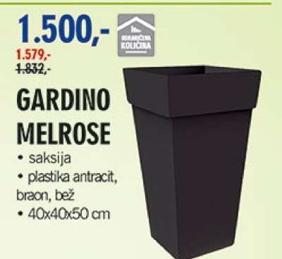 GARDINO MELROSE