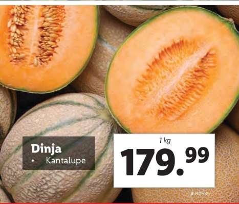 Dinja