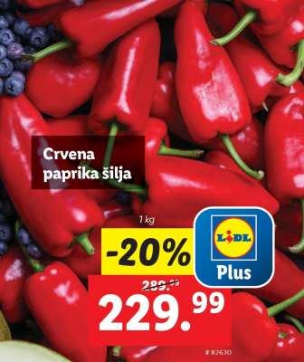 Crvena paprika šilja