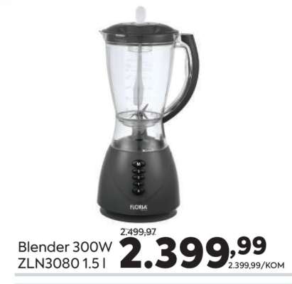 Blender 300W