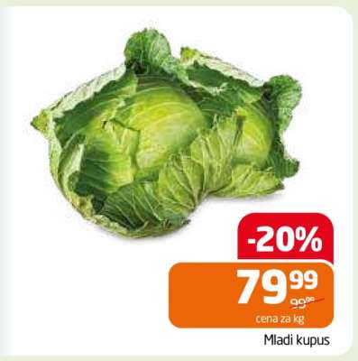 MLADI KUPUS