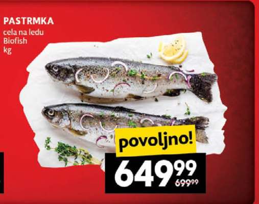 Pastrmka