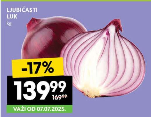 LJUBIČASTI LUK