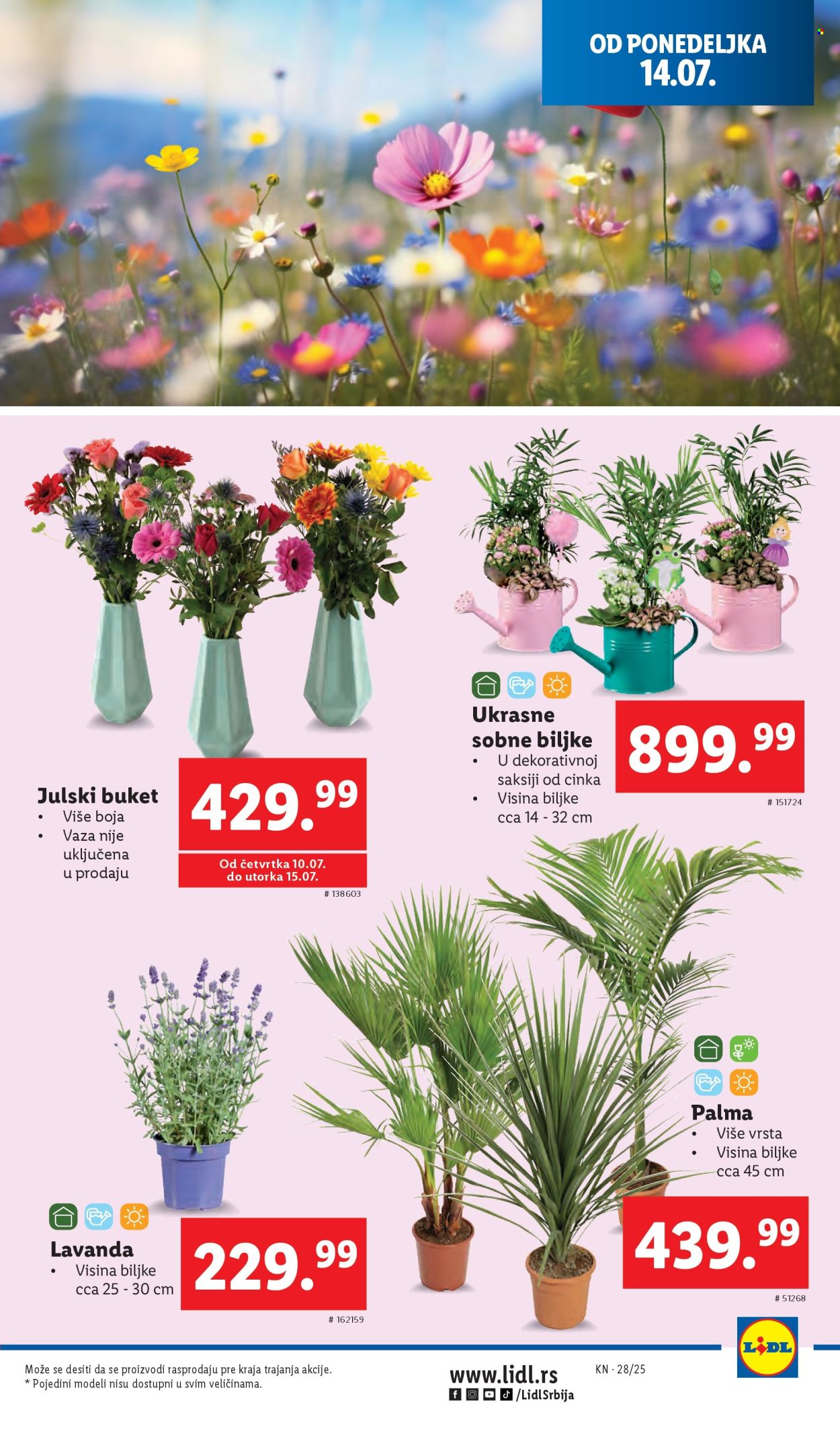 Lidl katalog - 10.07.2025 - 16.07.2025. Stranica 43