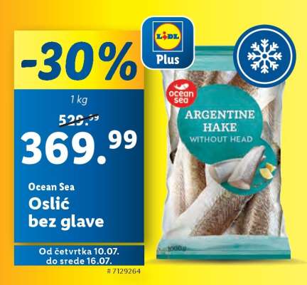 Ocean Sea Oslić bez glave