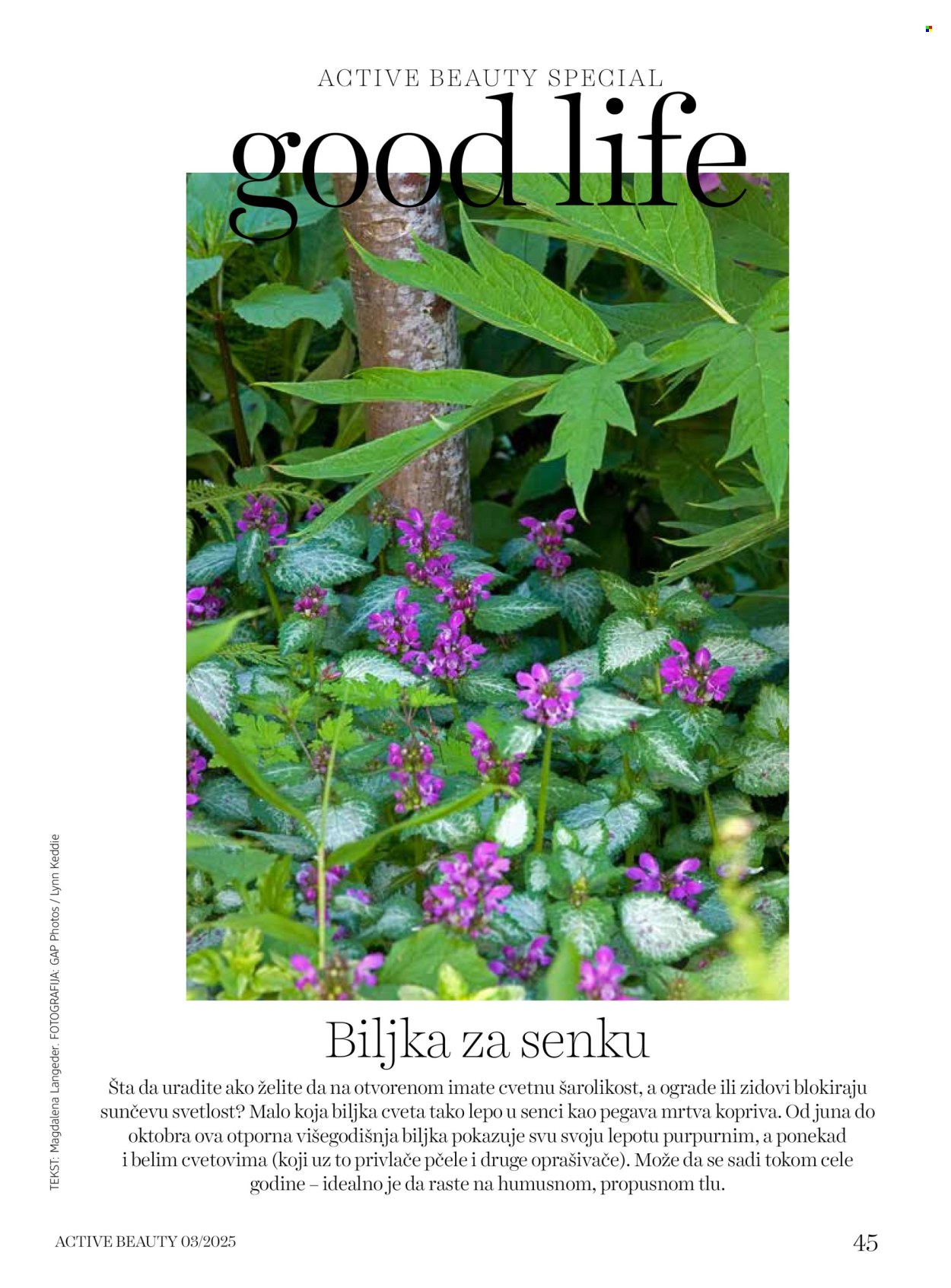 dm drogerie katalog. Stranica 45