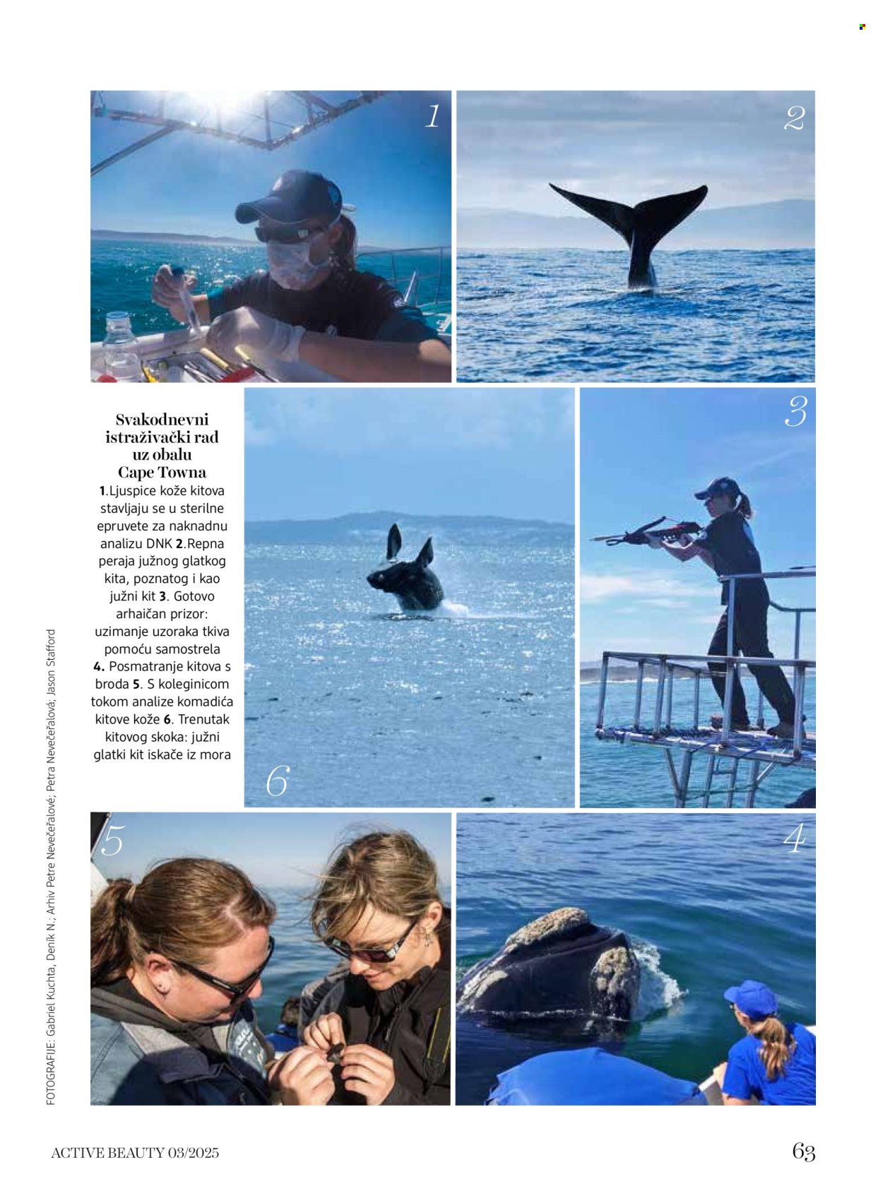 dm drogerie katalog. Stranica 63