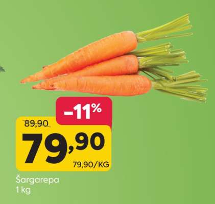 Šargarepa