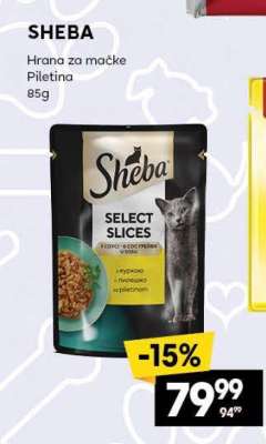 SHEBA