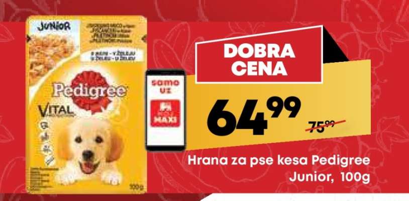 Hrana za pse kesa Pedigree Junior, 100g