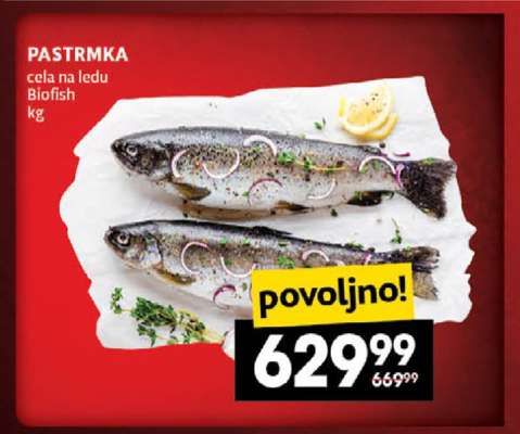 Pastrmka