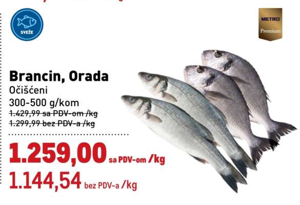 BRANČIN ORADA