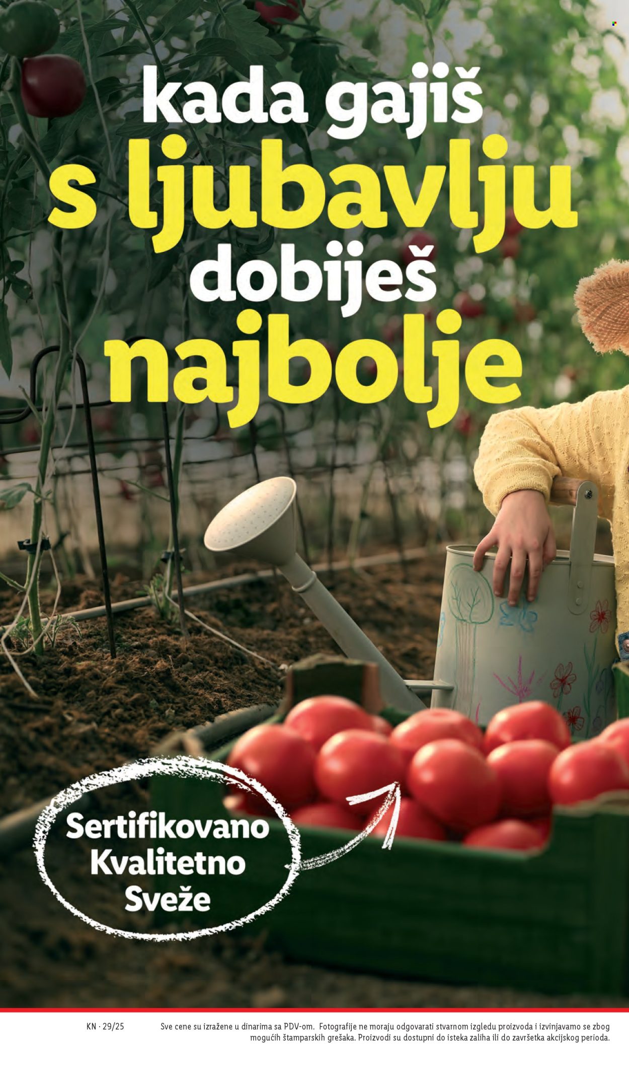 Lidl katalog - 17.07.2025 - 23.07.2025. Stranica 12