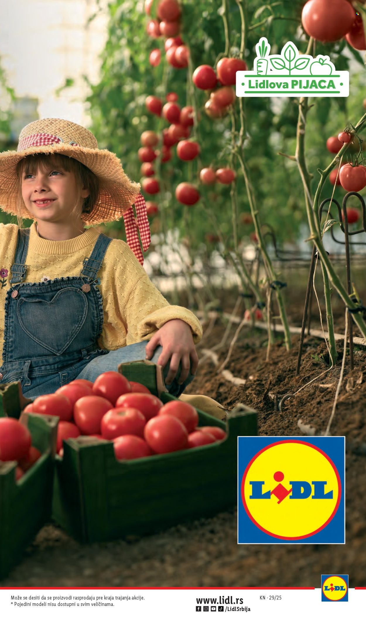 Lidl katalog - 17.07.2025 - 23.07.2025. Stranica 13