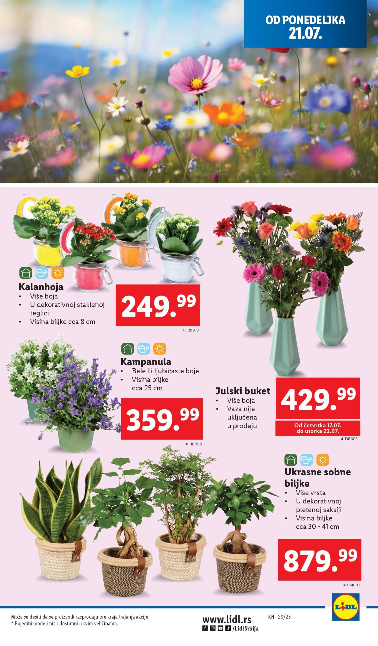 Lidl katalog - 17.07.2025 - 23.07.2025. Stranica 43