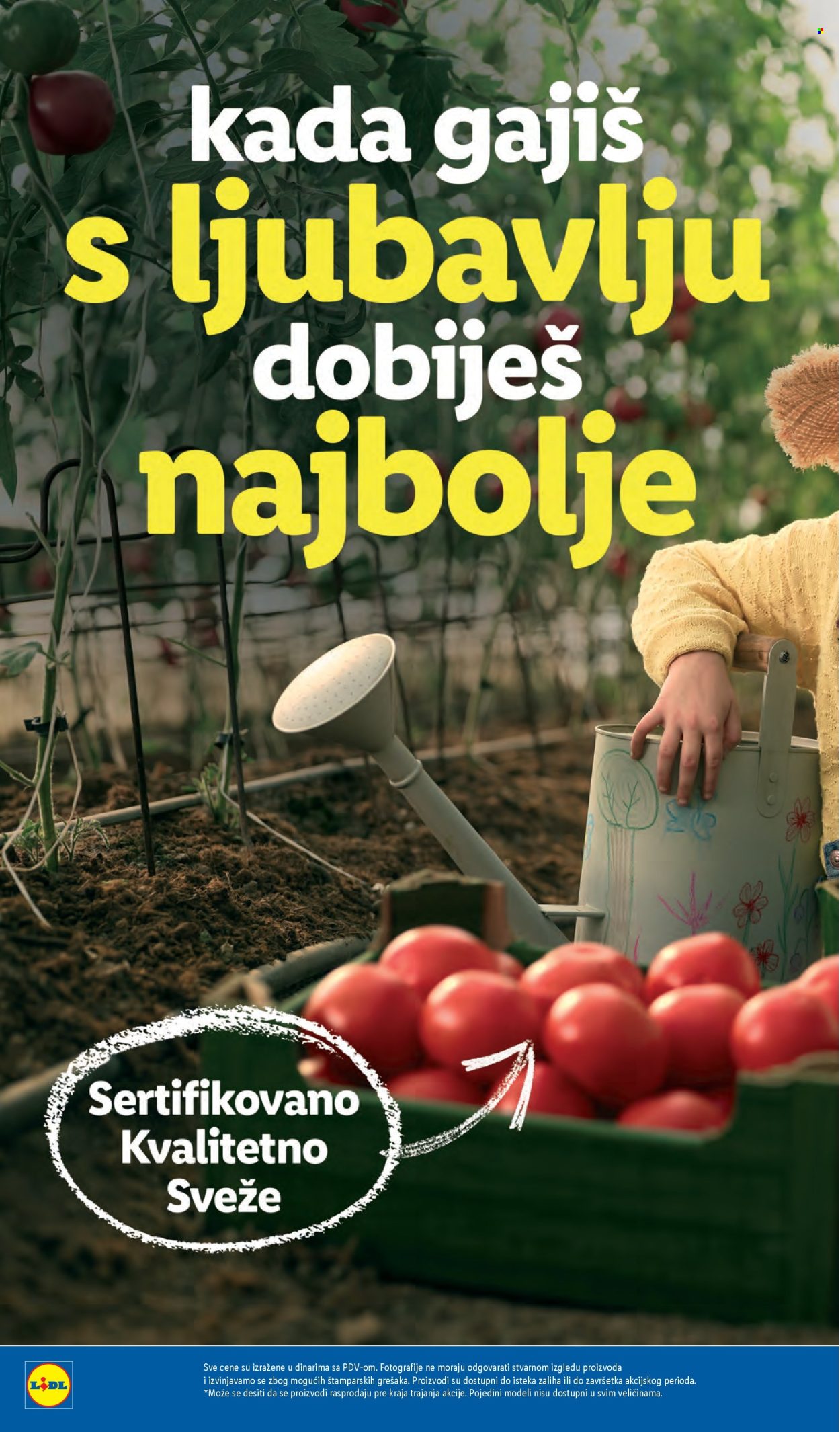 Lidl katalog - 24.07.2025 - 30.07.2025. Stranica 10