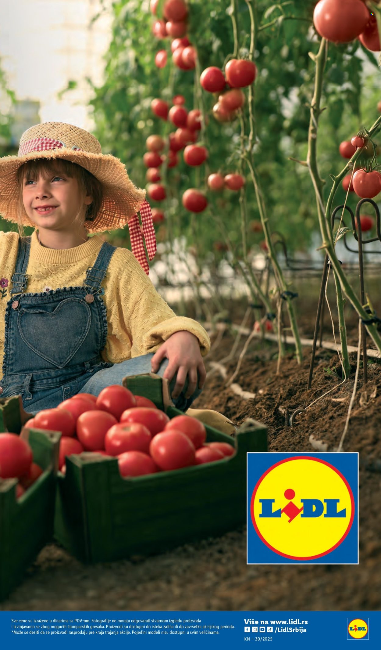 Lidl katalog - 24.07.2025 - 30.07.2025. Stranica 11
