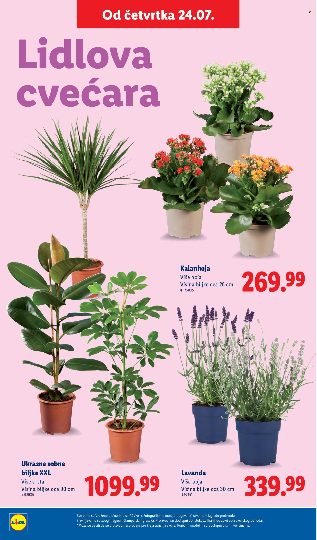Lidl katalog - 24.07.2025 - 30.07.2025. Stranica 50