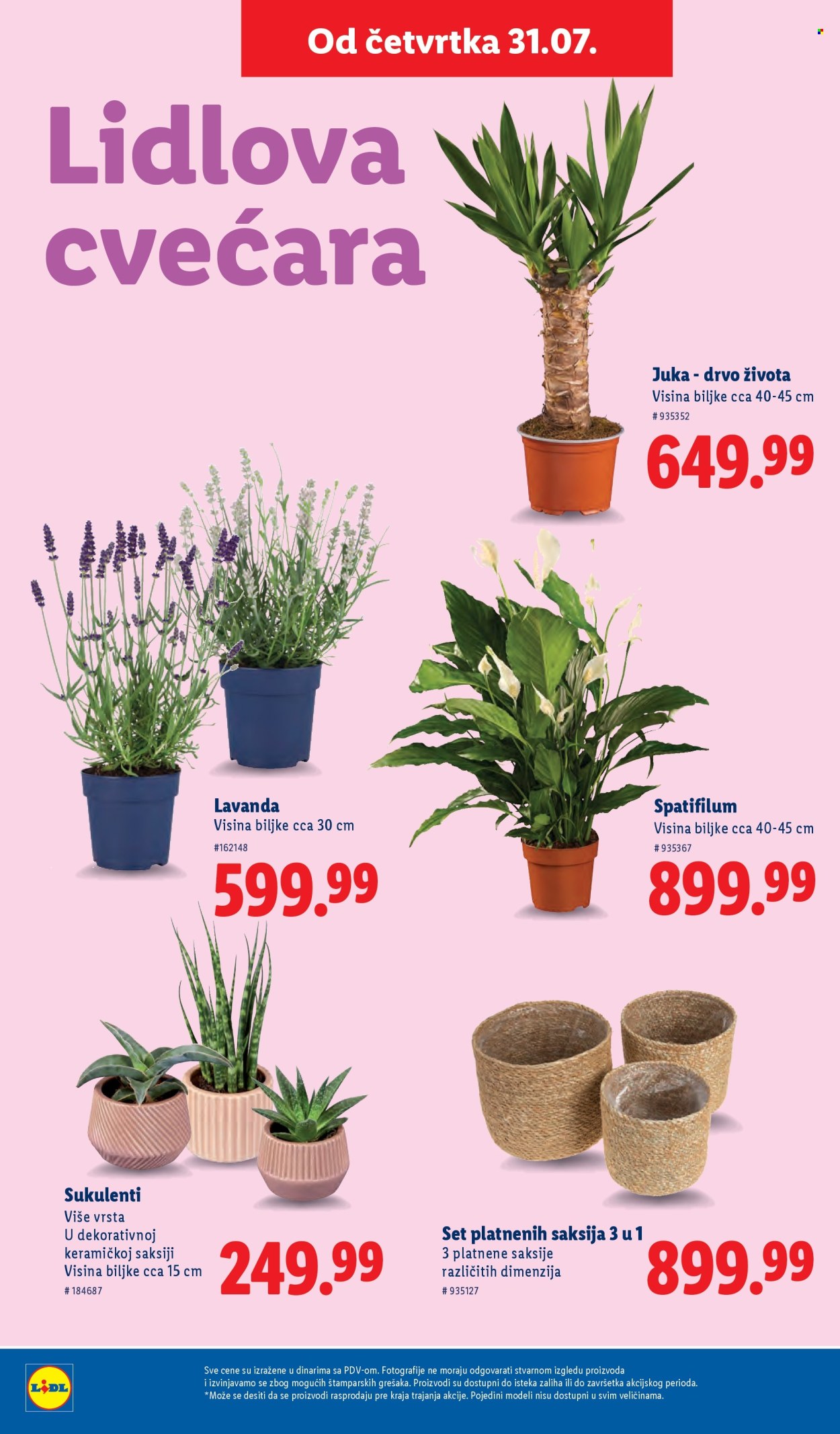 Lidl katalog - 31.07.2025 - 06.08.2025. Stranica 44