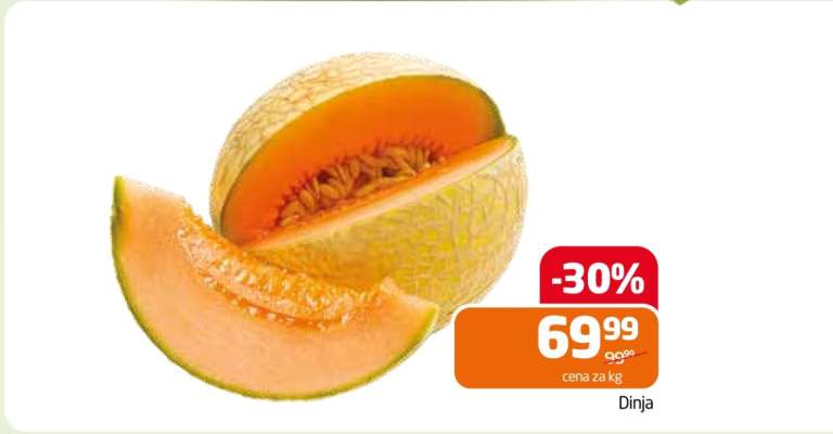 Dinja