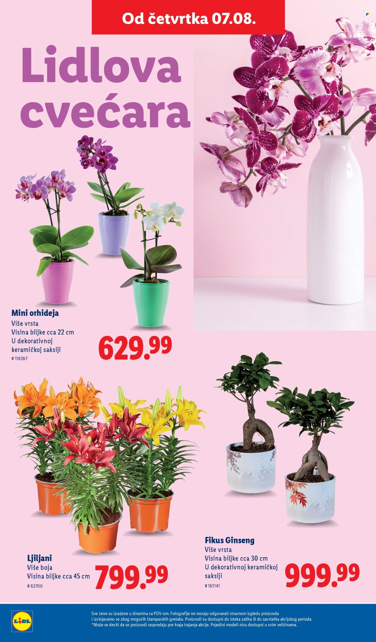 Lidl katalog - 07.08.2025 - 13.08.2025. Stranica 42