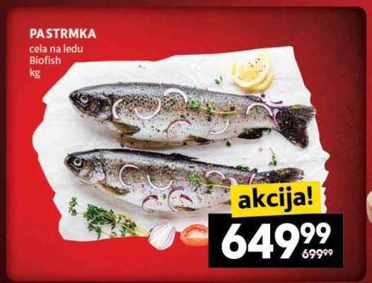 Pastrmka