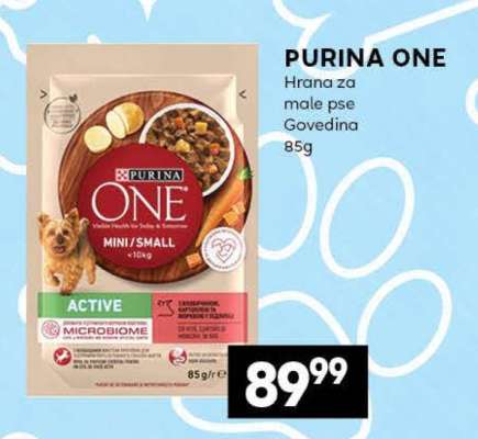 PURINA ONE