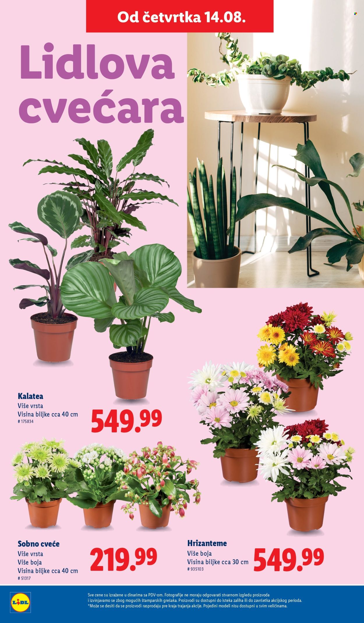 Lidl katalog - 14.08.2025 - 20.08.2025. Stranica 42